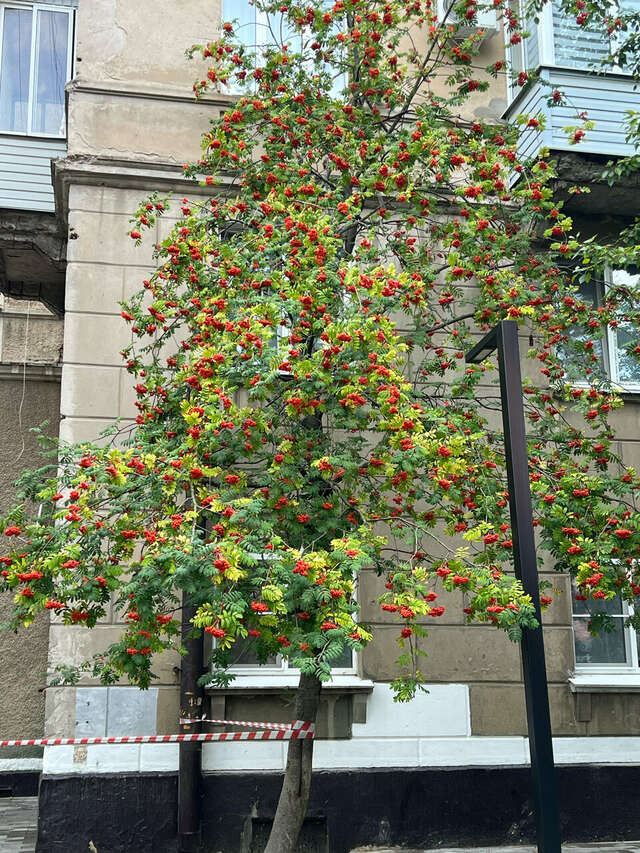 Гостиница Шерр отель Ступино-80